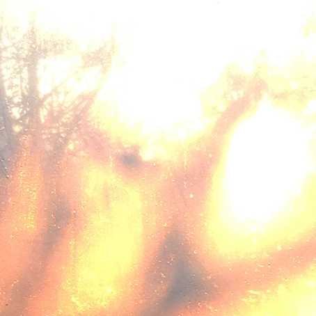 Textures & Shadows A 010